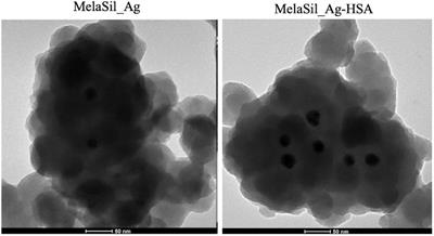 Albumin-Modified Melanin-Silica Hybrid Nanoparticles Target Breast Cancer Cells via a SPARC-Dependent Mechanism